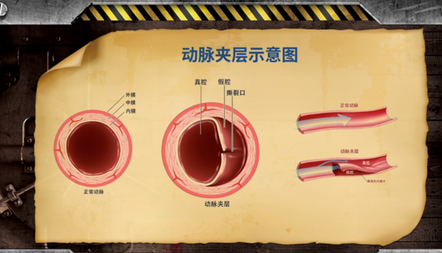 未设置