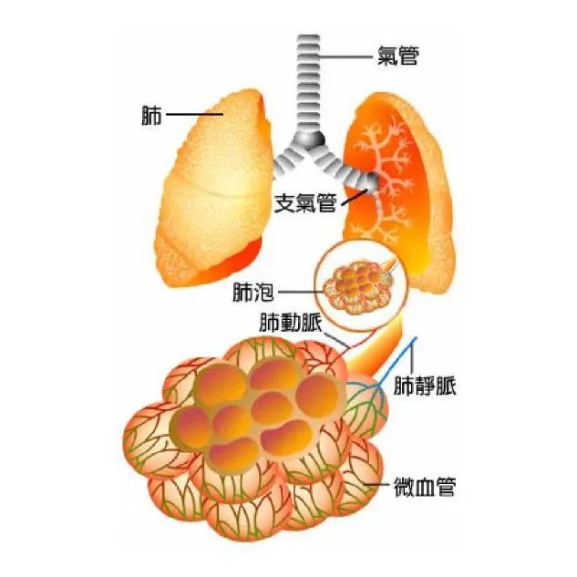 1675825553927037.jpeg 微信图片_20230208110430.jpg
